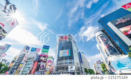 「東京都」渋谷スクランブル交差点の風景　渋谷区 115275184