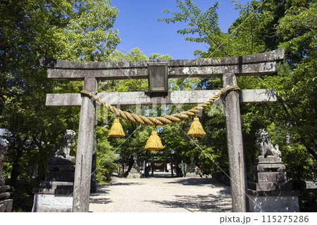 亀山神社 亀山市 亀山神社 亀山市 115275286