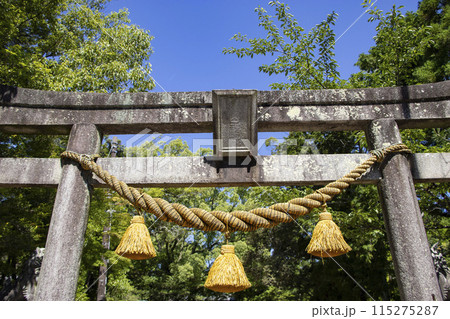 亀山神社 亀山市 亀山神社 亀山市 115275287