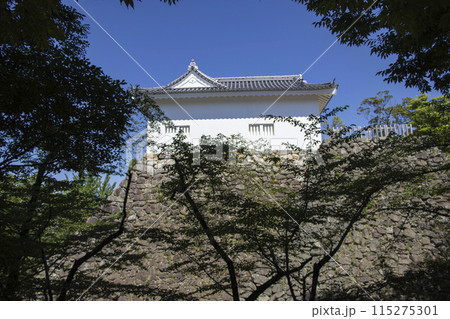 亀山城跡 亀山城 亀山城跡 亀山城 115275301