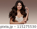 Beautiful brown-haired girl with a perfectly curls hair, and classic make-up. Beauty face and hair. 115275530