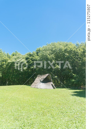 竪穴式住居 115275807