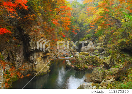 錦秋の天ヶ谷渓谷（大分県九重町） 115275890