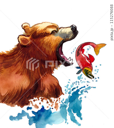 Grizzly bear fishing salmon. Ink and watercolor drawing 115276088