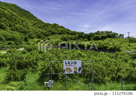 生口島　レモン谷　広島県尾道市 115276186