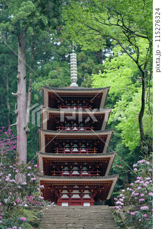 室生寺五重塔とシャクナゲ 115276324