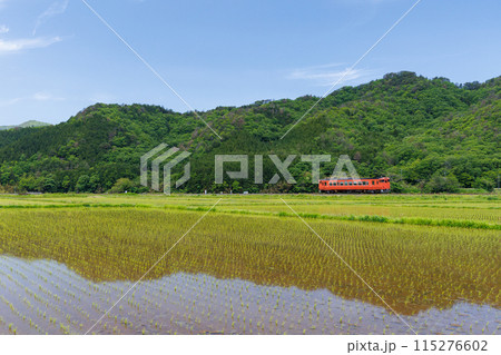 水鏡になった田園風景を走るキハ40系首都圏色 水鏡になった田園風景を走るキハ40系首都圏色 115276602