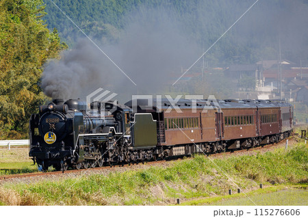 煙を上げて走るD51型蒸気機関車「SLやまぐち」 115276606
