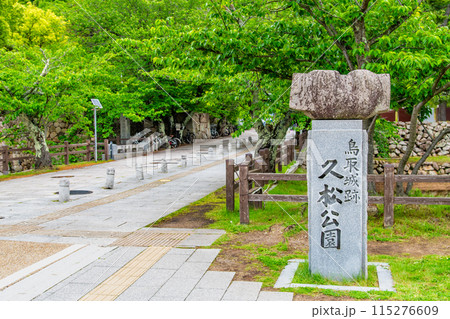 鳥取城跡 久松公園 115276609