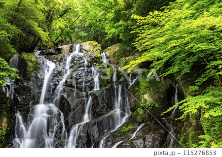 白糸の滝　福岡 115276853