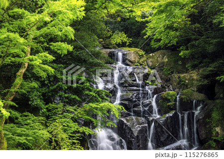 白糸の滝　福岡 115276865