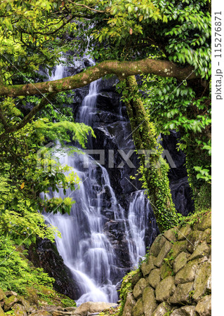 白糸の滝　福岡 115276871
