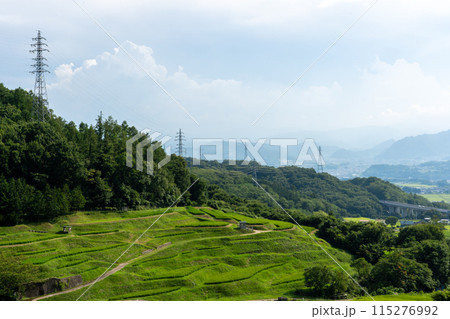 上田市の稲倉の棚田から見た風景 上田市の稲倉の棚田から見た風景 115276992