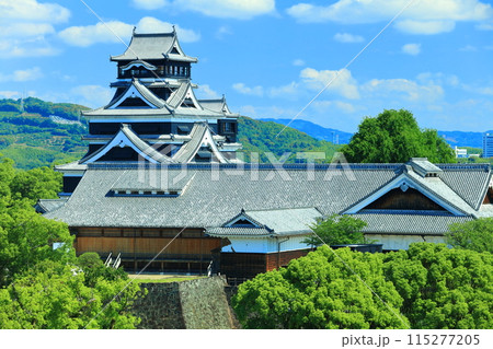 【熊本県】晴天の熊本城（天守閣と本丸御殿） 115277205