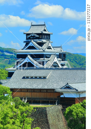 【熊本県】晴天の熊本城（天守閣と本丸御殿） 115277217