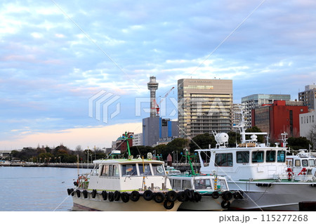 横浜港夕景 マリンタワー 山下公園 横浜港夕景 マリンタワー 山下公園 115277268