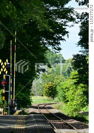 線路と踏切のある景色 線路と踏切のある景色 115277272