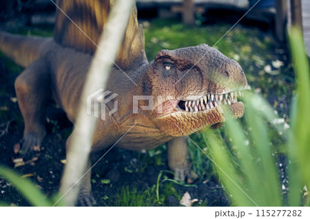 Dimetrodon is like a reptile, with curved hind legs and the lower part of the body pressed to the ground. With space to copy. High quality photo 115277282