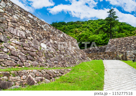 鳥取城跡　二ノ丸跡の石垣 115277518
