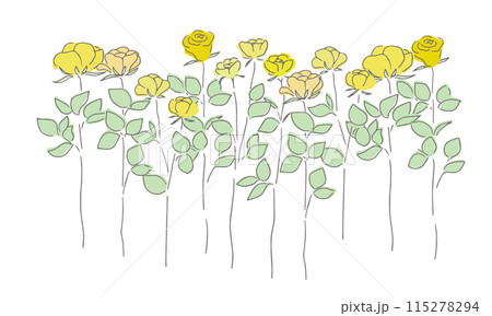 手描きの薔薇ベクターイラスト。薔薇の線画イラストセット。薔薇の線画フレーム背景。 115278294