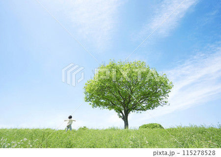 一本の木のある草原で手を広げる子供 一本の木のある草原で手を広げる子供 115278528