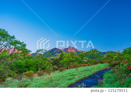 （山梨県）八ヶ岳連峰への登山口、清里・美しの森　夜明け 115279551