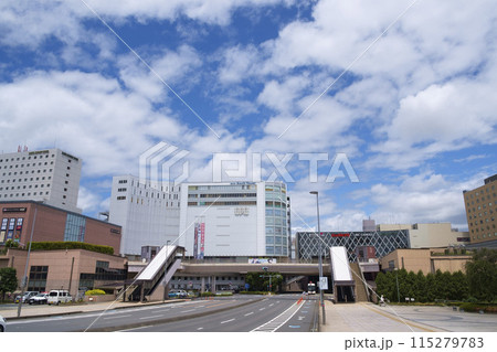 水戸駅南口ペディストリアンデッキ広場 水戸駅南口ペディストリアンデッキ広場 115279783