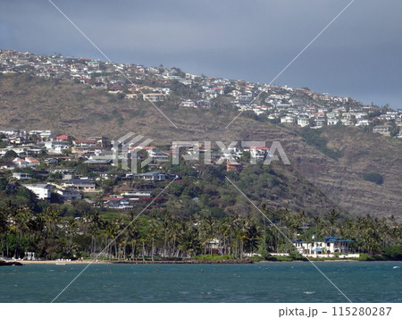Kahala Beach, coconut trees, ocean and Hilltop homes 115280287