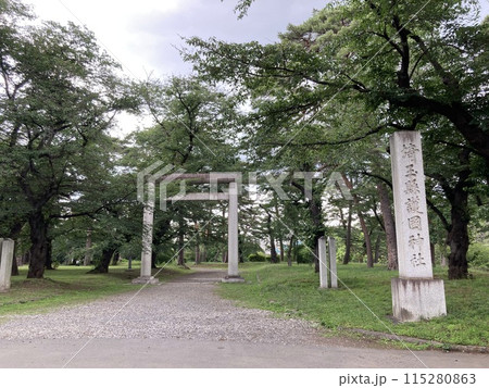 埼玉県護国神社　参道入り口　鳥居 115280863