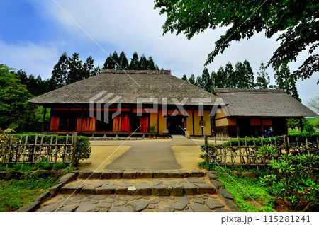 国営みちのく杜の湖畔公園内(山形県川崎町) 国営みちのく杜の湖畔公園内(山形県川崎町) 115281241