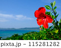 青い珊瑚礁の海と赤いハイビスカス 115281282