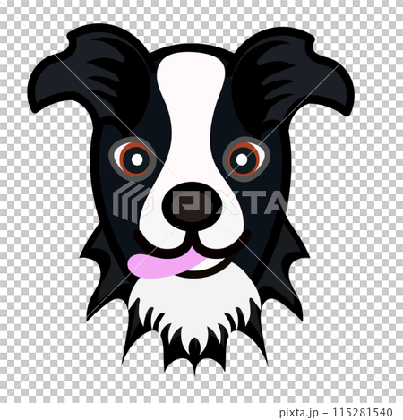 Border collie face illustration Border collie face illustration 115281540