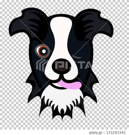 Border collie face illustration Border collie face illustration 115281541