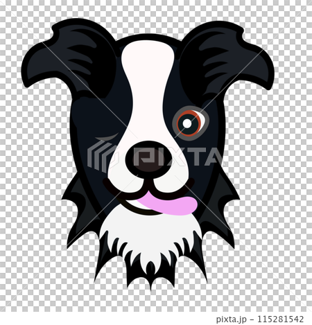 Border collie face illustration Border collie face illustration 115281542
