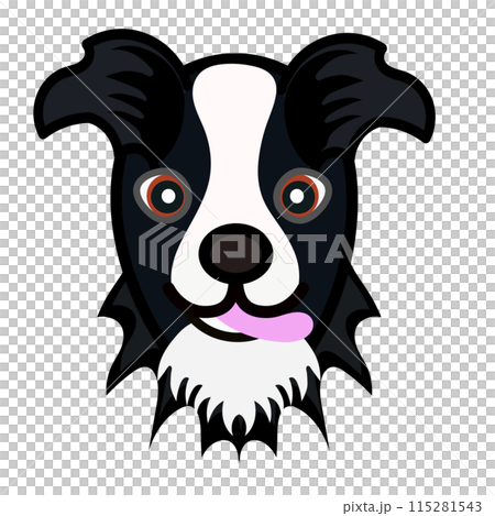 Border collie face illustration 115281543