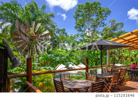 キュランダ 115281646