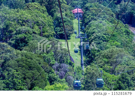 キュランダ キュランダ 115281679