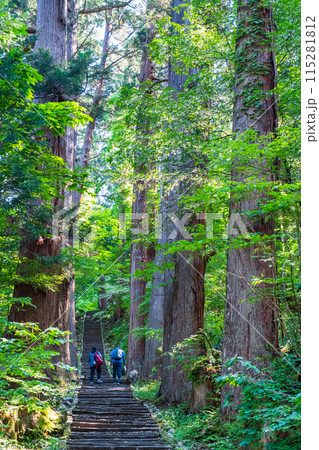 羽黒山：一の坂 115281812