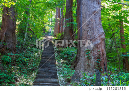 羽黒山:二の坂 羽黒山:二の坂 115281816