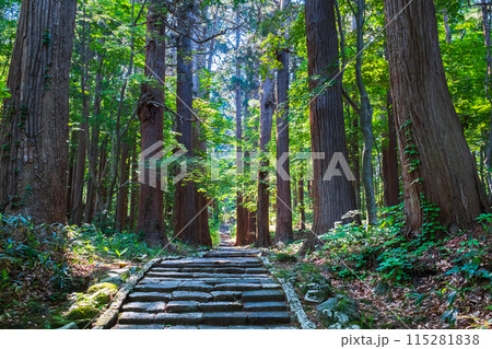 羽黒山：二の坂 115281838