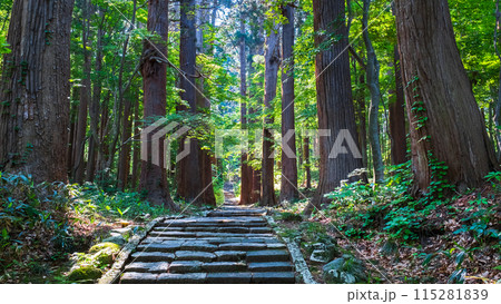 羽黒山：二の坂 115281839