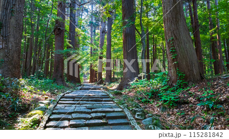羽黒山:二の坂 羽黒山:二の坂 115281842