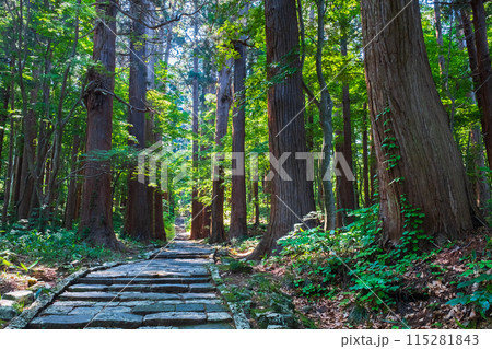 羽黒山:二の坂 羽黒山:二の坂 115281843