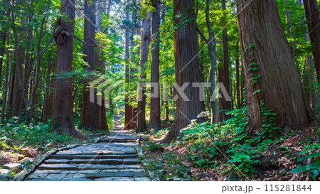 羽黒山:二の坂 羽黒山:二の坂 115281844
