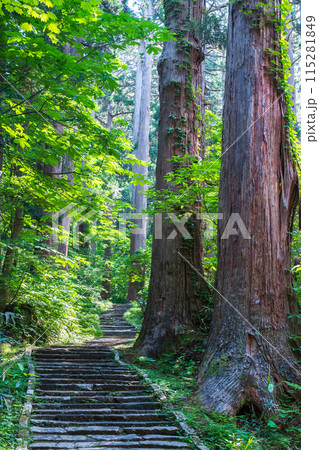 羽黒山：三の坂 115281849