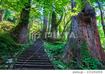 羽黒山：三の坂 115281850