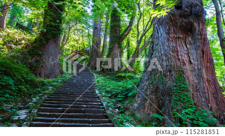 羽黒山：三の坂 115281851