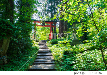 羽黒山:三の坂 羽黒山:三の坂 115281878