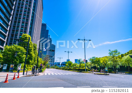 日本の東京都市景観 自転車の専用道路に…車は通行止め。新緑の大手町＝5月5日（GW） 115282011