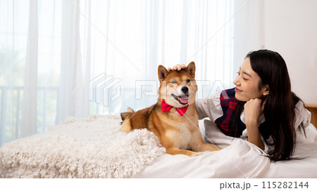 Asian female teenage lovingly petting her Shiba Inu dog wearing red bow tie relaxing on cozy white bed Asian female teenage lovingly petting her Shiba Inu dog wearing red bow tie relaxing on cozy white bed 115282144